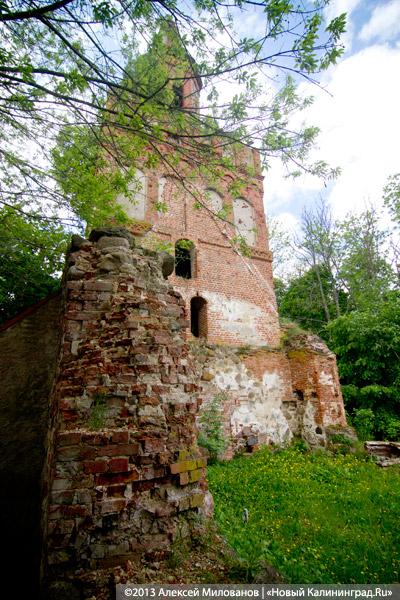 «Если вас это так волнует...»: у руин кирхи в Чехово раскопано немецкое кладбище