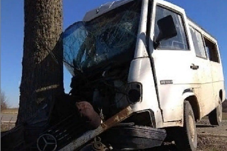 Под Багратионовском пьяный водитель без прав на «Мерседесе» врезался в дерево