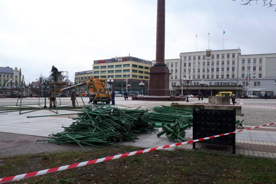  В Калининграде начался монтаж главной городской ёлки