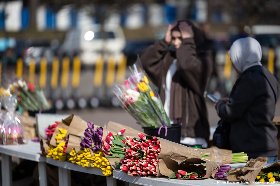 Мимозно-тюльпанный ажиотаж: Калининград накрыла традиционная цветочная лихорадка (фото)