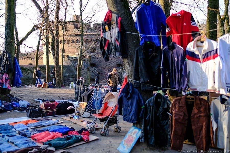 Созерцание и покой: в «Воротах» презентовали концепцию парка за башней Врангеля