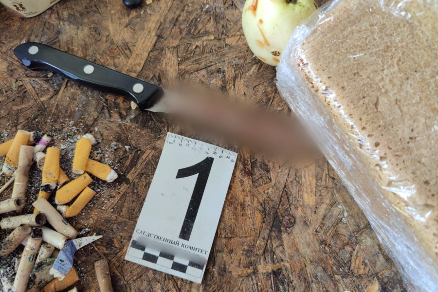 Житель Советска обвинил знакомого в краже удочек и зарезал его (видео)