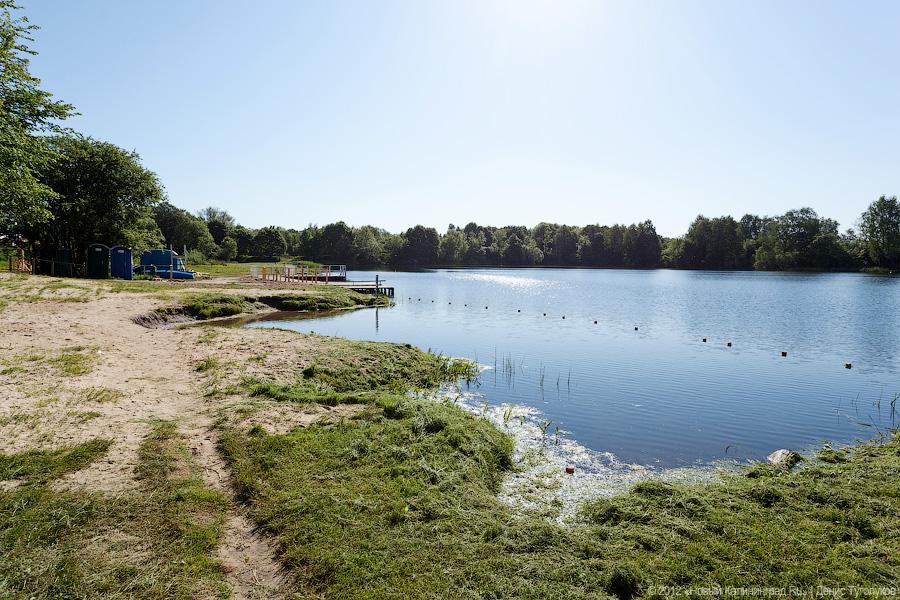 В Калининграде запретили купание на Карповском озере из-за энтеровирусов