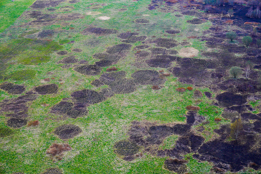 Под винтом вертолёта о чем-то поёт: воздушный парад глазами участника (фото)