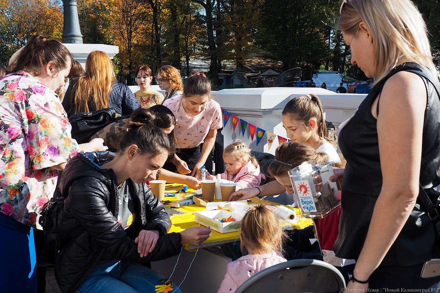 Традиционное осеннее добро: как прошел Благотворительный фестиваль шарлотки