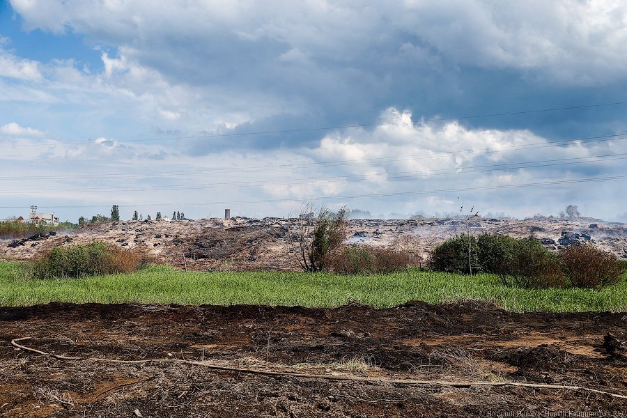 «Пламя из недр»: что происходит на горящих короотвалах в Калининграде (фото)