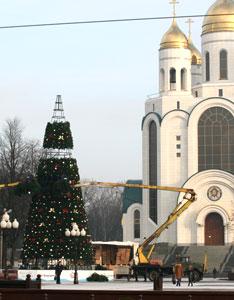 12 декабря в Калининграде установят главную елку