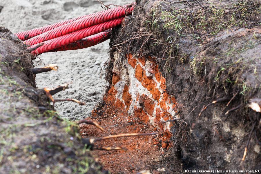 Руины Кнайпхофа: как проходит подготовка к благоустройству острова Канта (фото)