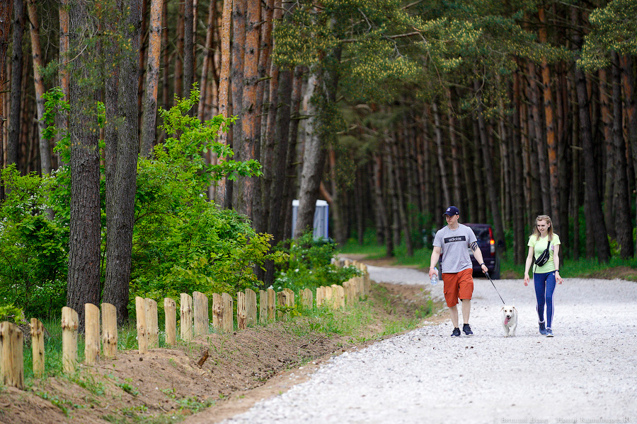 «Не врите мне»: фекалии в воде не портят отдых калининградским купальщикам (фото)