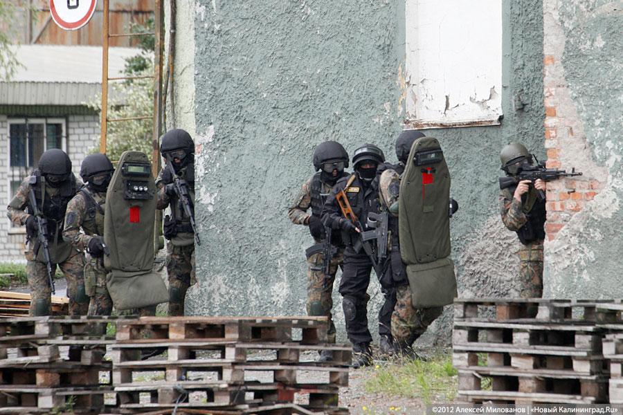 «Под флагом Башара»: фоторепортаж с антитеррористических учений