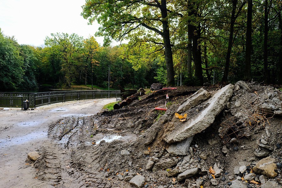 Муза освоения: как за федеральные деньги благоустраивают парк в Светлогорске