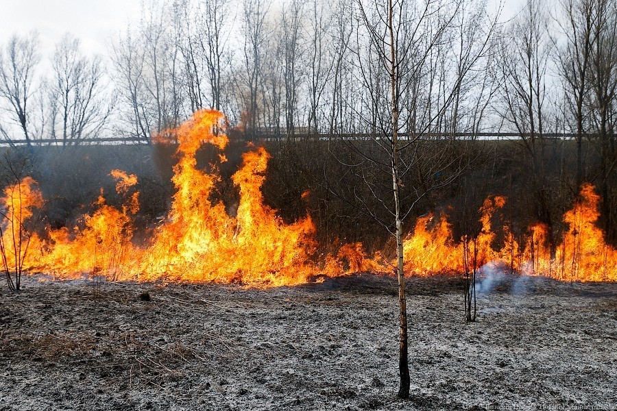 В пятницу горящую траву в регионе тушили 135 сотрудников МЧС