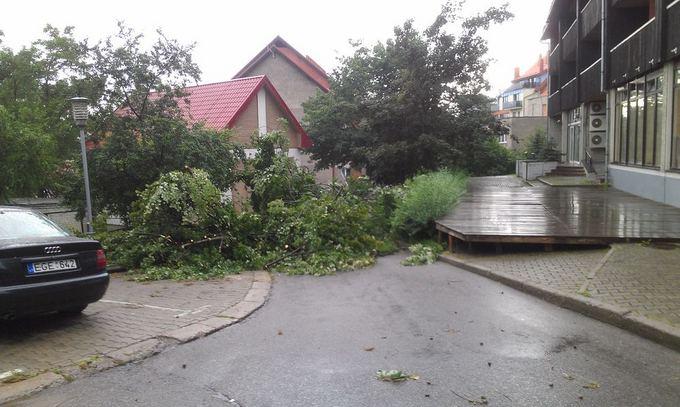 Шторм в Литве: на пляже Ниды ветер поднял в воздух коляску с ребенком (фото)