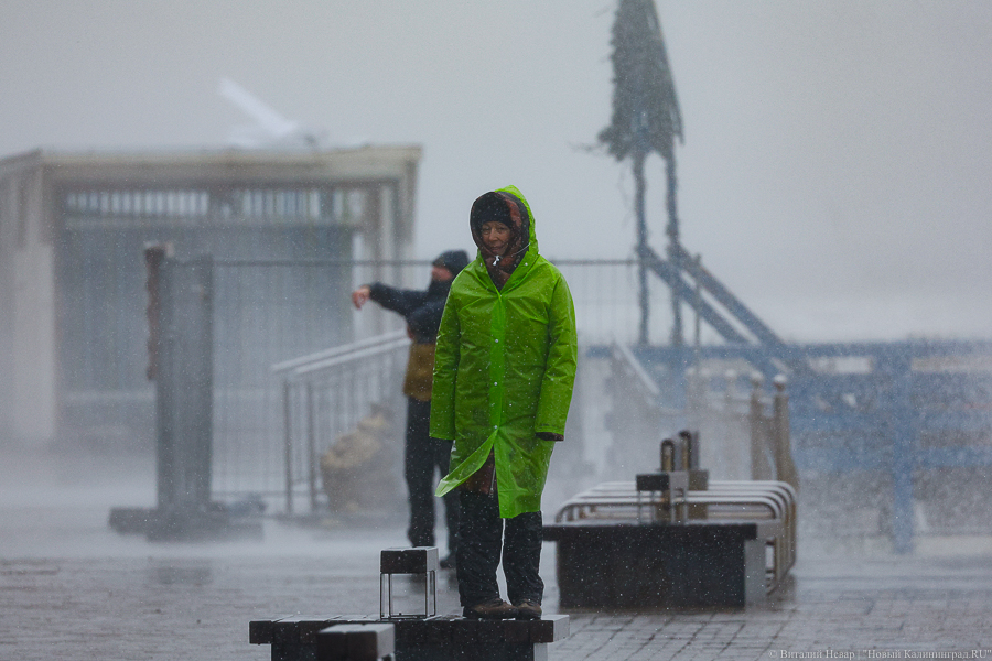 В Калининграде в воскресенье выпало 38% месячной нормы осадков