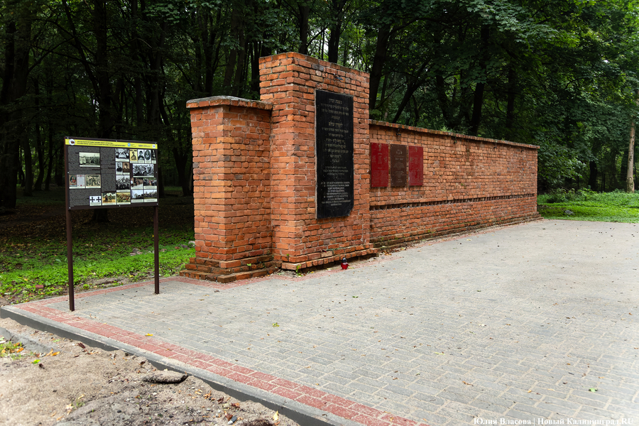 В Калининграде начали благоустраивать старое еврейское кладбище (фото)