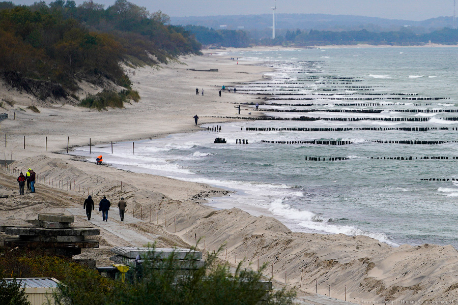 От «Нептуна» до кемпинга: в Зеленоградске укрепляют 1,5 км морского побережья (фото)