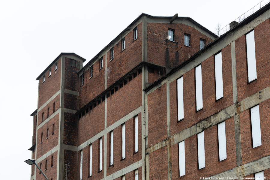 Постапокалиптический пейзаж: что происходит с территорией бывшего ЦБЗ-1 (фото)