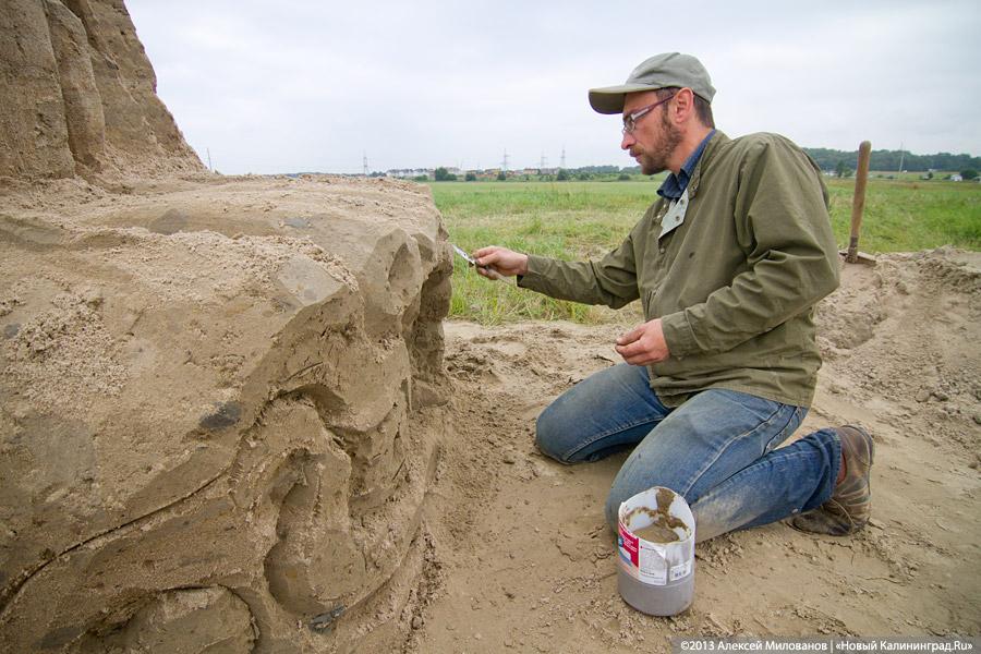 Песочная Гофманиана: под Гурьевском проходит второй фестиваль песчаных скульптур