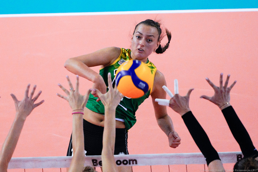 Сборная и 3 сильнейших клуба: волейбольный турнир на Кубок губернатора в «Янтарном»