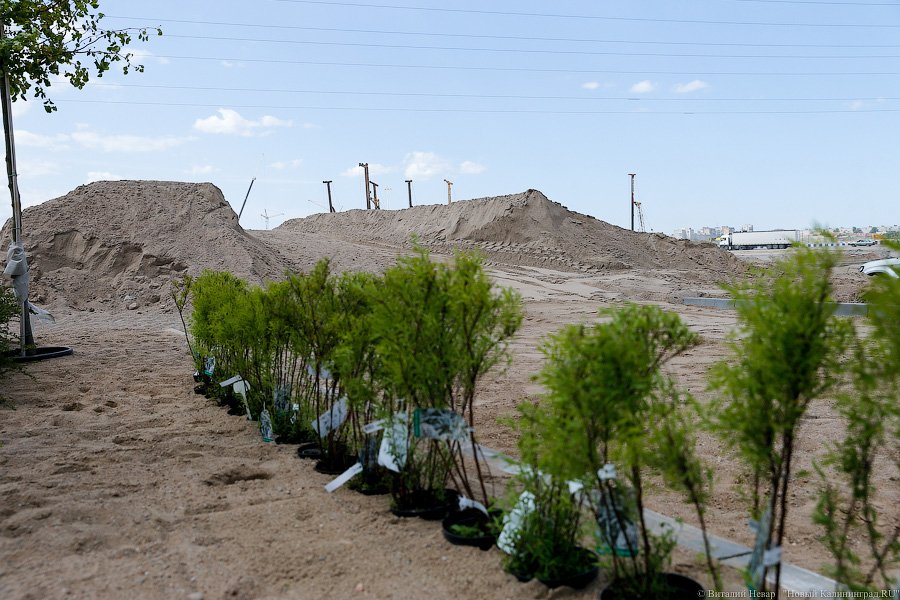«Чего-то не хватает»: как Цуканов с Набережной Ветеранов разбирался