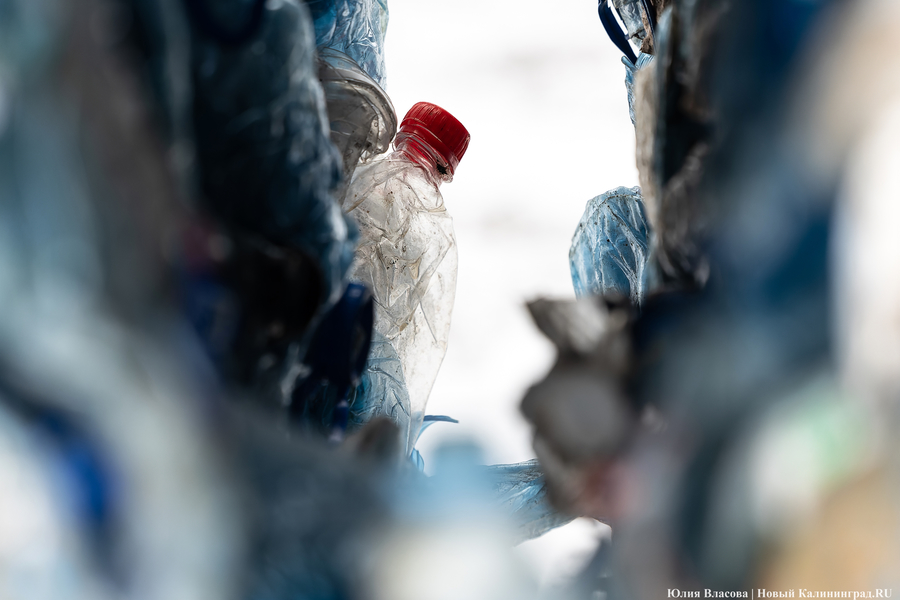 «Ничего на свалку не уйдет»: в Калининграде стали раздельно собирать 14 видов отходов (фото)