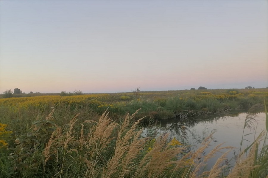 СК: в Гурьевском районе рыбак погиб от удара током