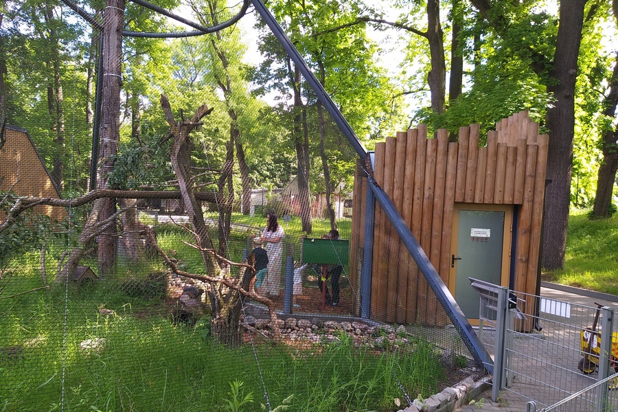 В Калининградском зоопарке открыли обзорную площадку в «Доме тропических птиц» (фото)