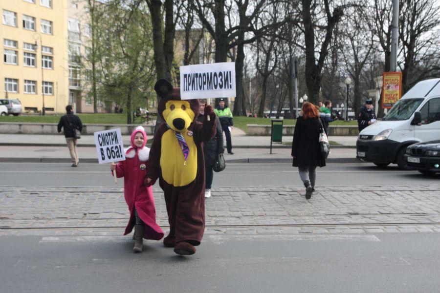 В Калининграде ГИБДД выпустила на улицу Медведя (фото)