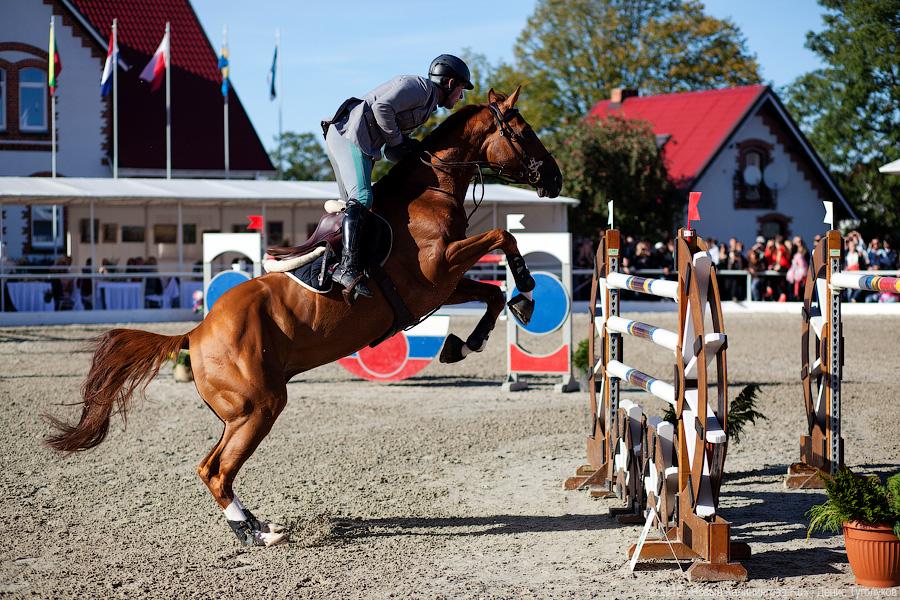 «Кубок президента РФ для немцев»: фоторепортаж с турнира по конкуру в Георгенбурге