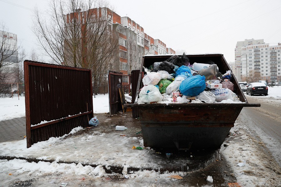 Власти: новые нормативы по вывозу мусора для бизнеса появятся в 2020 году