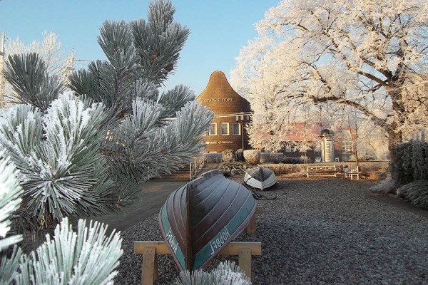 В новогодние каникулы посетите выставки, экспозиции и не только 