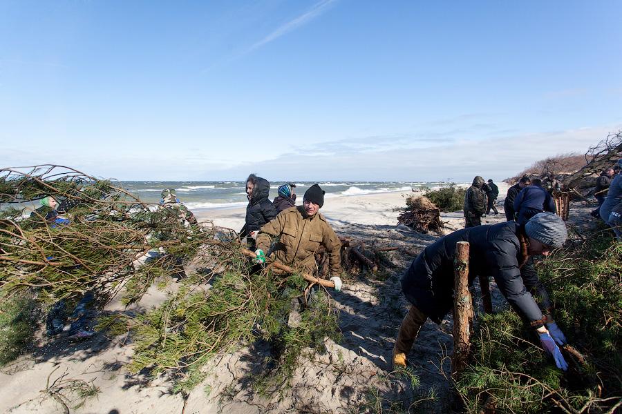 «Спасение косы: любительский вариант»: фоторепортаж «Нового Калининграда.Ru»
