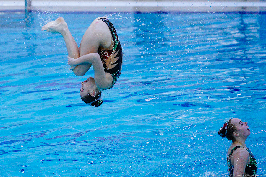 В Калининграде проходит Кубок России по синхронному плаванию. Вот как это выглядит (фото)