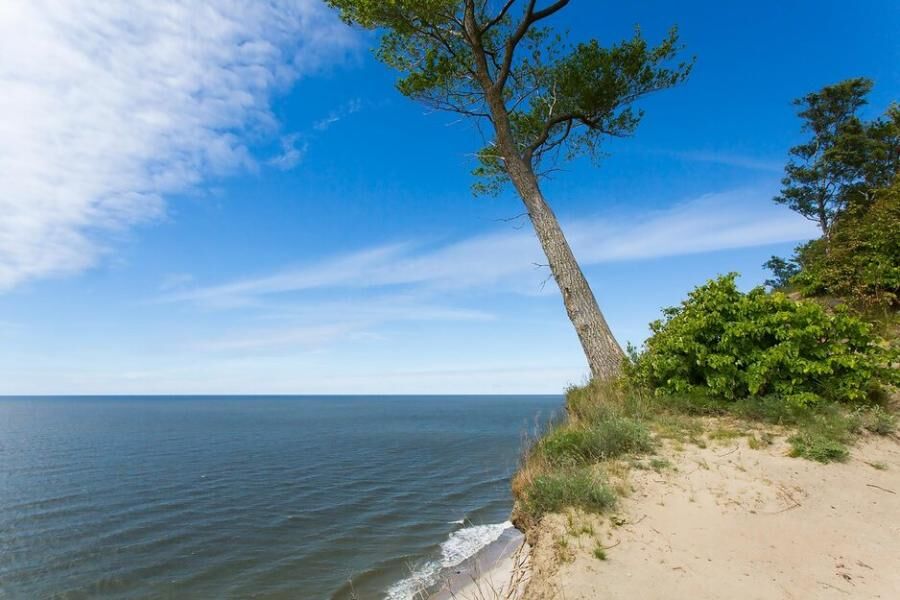 На Куршской косе начался очередной этап берегоукрепительных работ