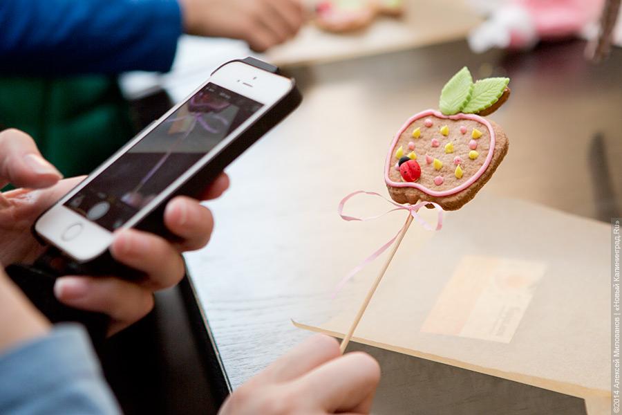 Спасу нет: как прошел благотворительный фестиваль шарлотки