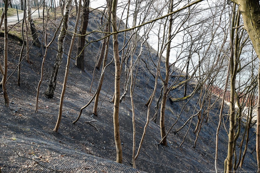 Летом неизвестного года: что не так с новым променадом в Светлогорске (фото)