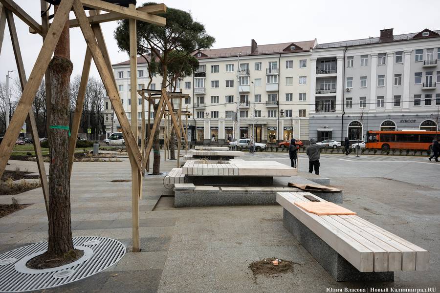 В трех соснах: как выглядит благоустроенная территория у стадиона «Балтика» (фото)