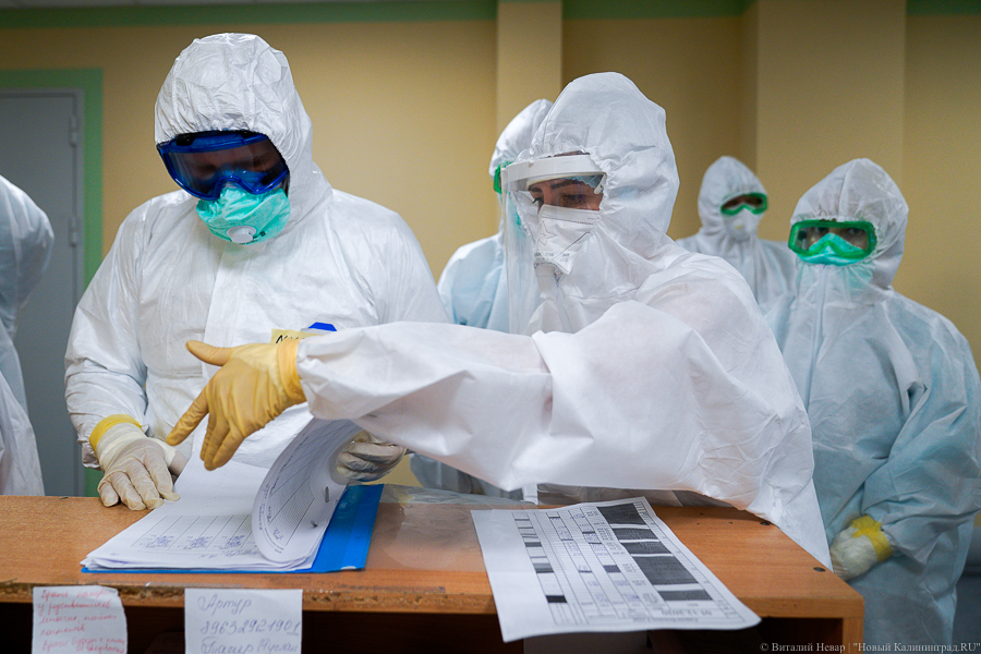 За сутки в Калининградской области подтвердили 205 новых случаев коронавируса