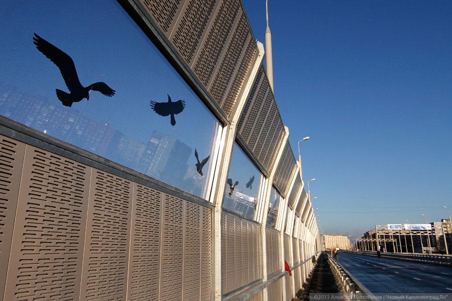 Фото из архива «Нового Калининграда.Ru»