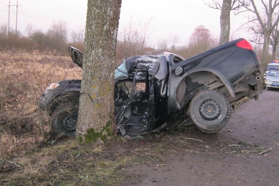 В Неманском районе машина врезалась в дерево, водитель скончался в «скорой» (фото)