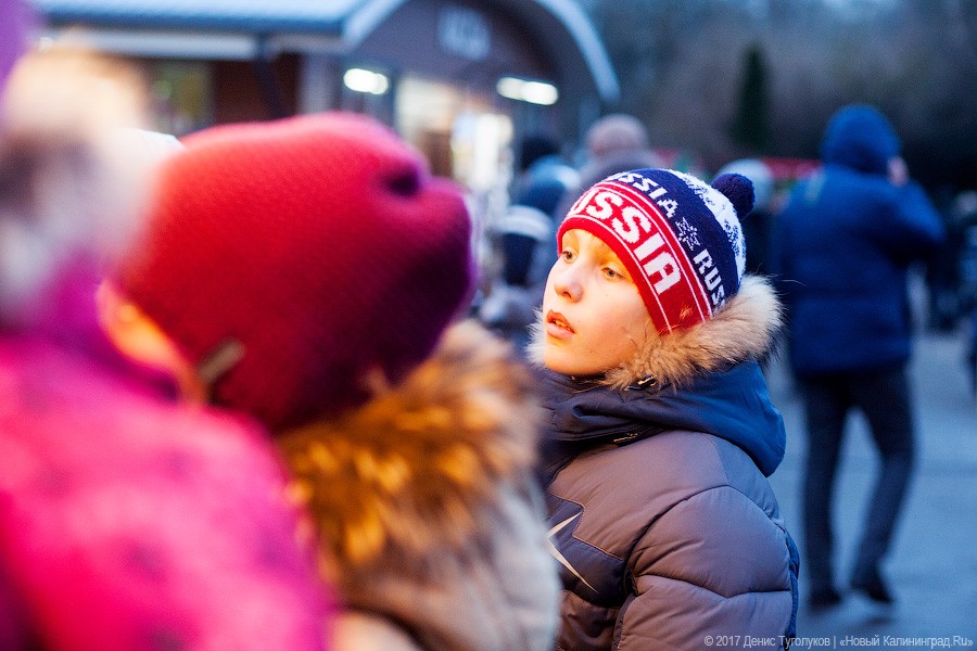 Лягушачьи лапы, сырная голова: как проходит ярмарка на острове Канта