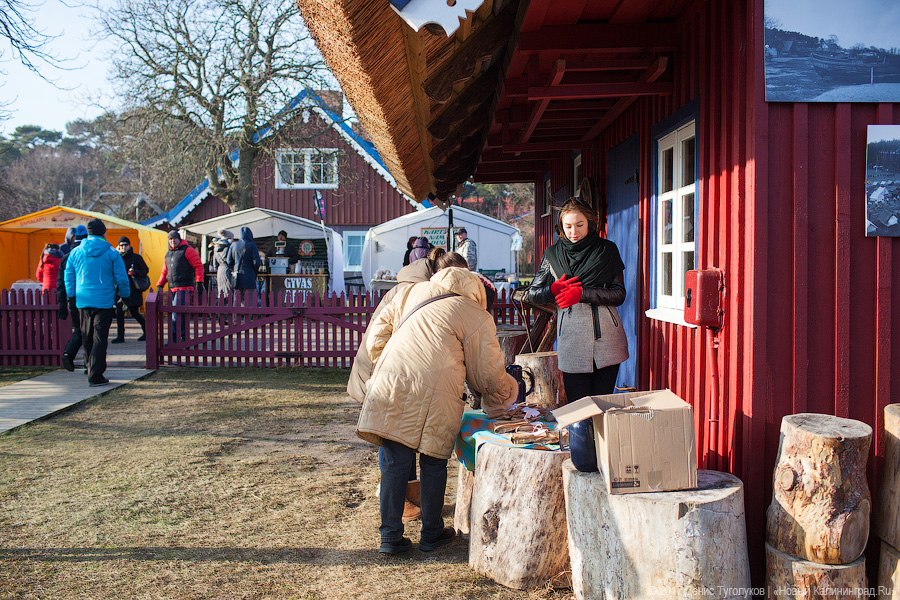 Рыба большая и маленькая: как прошёл День корюшки в Ниде