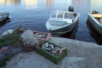 Полиция изъяла у браконьеров в поселке Прибрежный 350 килограммов рыбы
