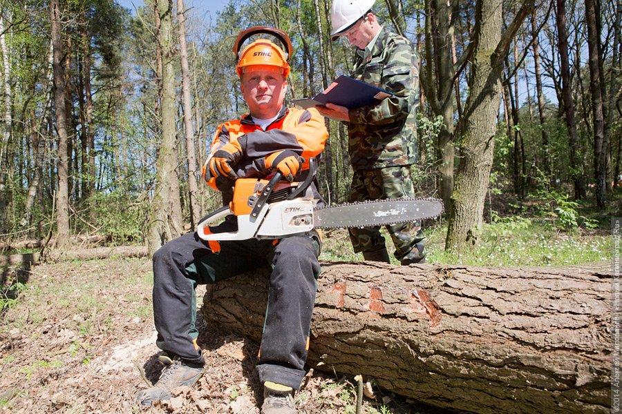 Лесной распил: как проходят соревнования лесорубов (фото)