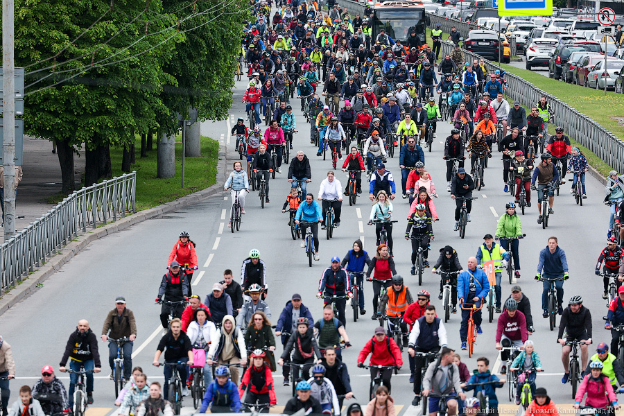 Лыжи, велики, унициклы: как прошёл велопарад в Калининграде (фото)
