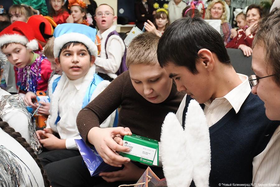 "Елка чудес": фоторепортаж "Нового Калининграда.Ru"