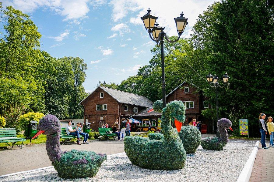 Мир, дружба, клумба: как мэрия Калининграда закругляла углы межнациональных отношений (фото)