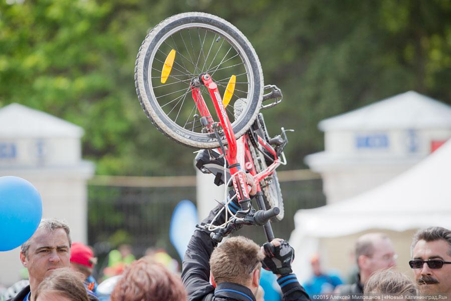 Фото — Алексей Милованов, «Новый Калининград.Ru»