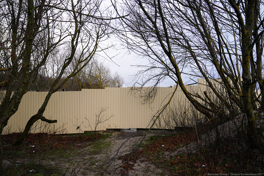 Игра в «Монополь»: как уничтожают авандюну при строительстве кафе в Зеленоградске (фото)