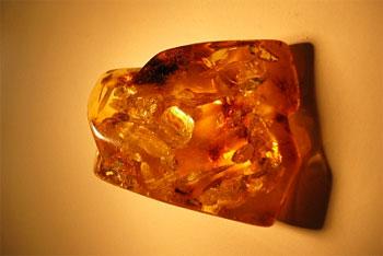 Минфин РФ передаёт янтарный комбинат госкоропорации «Ростехнологии»